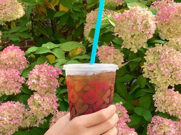 Dunkin’ Tests Biodegradable Straws at Select Stores Across the U.S.