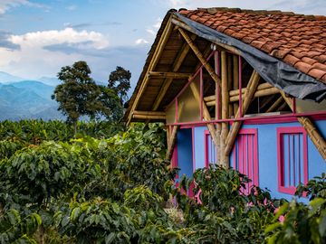 Dunkin’ Continues Commitments to Coffee Sustainability in 2021