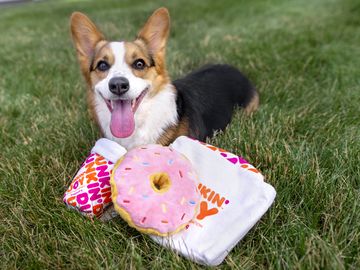 Treat Your Pup with New Dunkin’-Inspired BARK Dog Toys and “Cup for Pup” Treats 