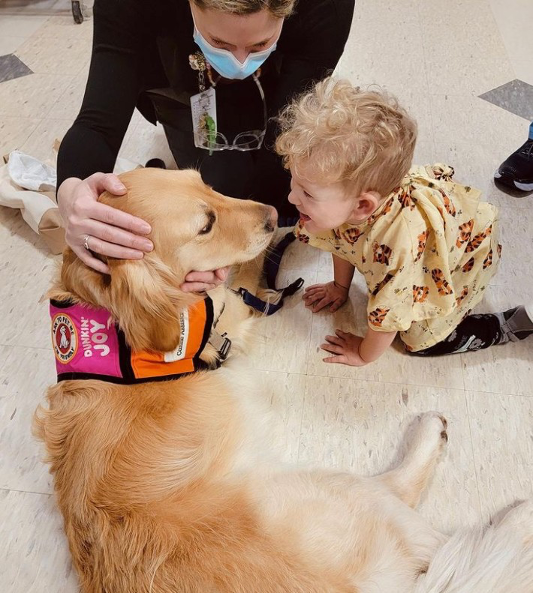 Dunkin’ Joy in Childhood Foundation Celebrates Its Four-Legged “Dog-tors” on National (Furry) Employee Appreciation Day! 