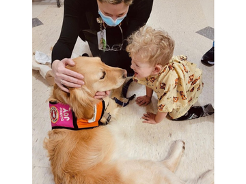Dunkin’ Joy in Childhood Foundation Celebrates Its Four-Legged “Dog-tors” on National (Furry) Employee Appreciation Day! 