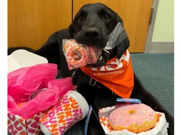 Dunkin’ Joy in Childhood Foundation Celebrates Our “Paw-some Pups” on National Dog Day! 