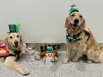 The Dunkin’ Joy in Childhood Foundation & BARK Celebrate Its “Fur Leaf Clovers” with BarkBoxes for a Year to Celebrate Child Life Month