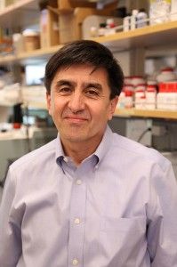 Shoukhrat Mitalipov, Ph.D.