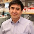 Shoukhrat Mitalipov, Ph.D.