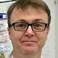 Alejandro Lomniczi, Ph.D. (2016)