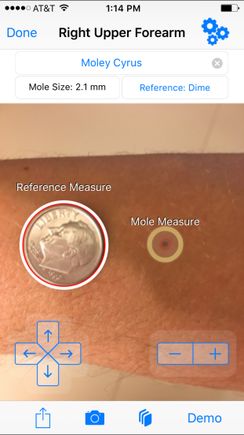Mole Mapper Reference Point