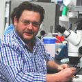 Peter Steyger, Ph.D.