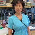 Hong Ma, M.D., Ph.D.