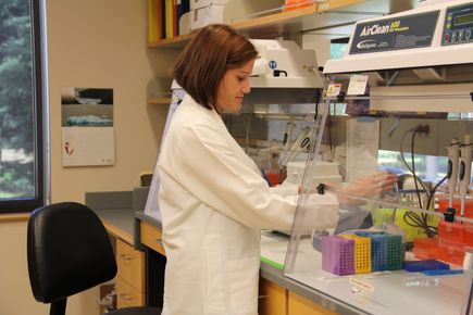 Shawn Chavez, Ph.D.