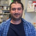 Omar Davulcu, Ph.D.