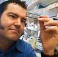 Brian J. O'Roak, Ph.D. in the lab