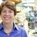 Research uncovers potential therapy to prevent arrhythmias, sudden cardiac death after heart attack