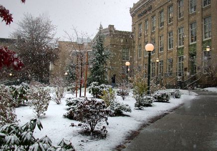 Mackenzie Hall