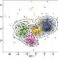 Genome mapping of a single cell