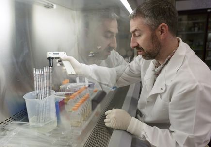Stem cell research