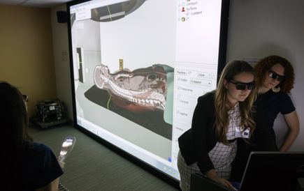 Virtual Environment Radiotherapy Training