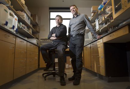 Zika research