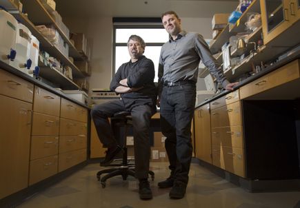 Zika research