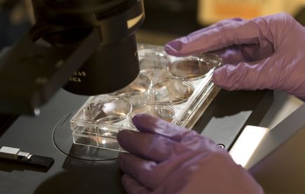 AML research