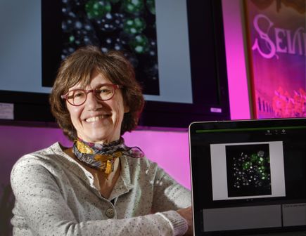 Gail Mandel, Ph.D.