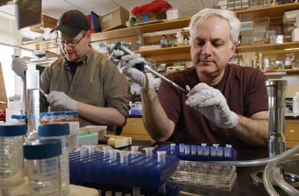 Research Week: Gail Mandel, Ph.D.
