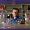 Research Week 2017: Kevin Wright, Ph.D.