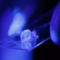 New research on root canal treatment