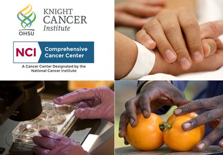 Knight Cancer Institute NCI designation