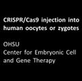 VIDEO: Download germline editing video
