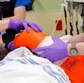 Stop the bleed