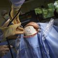 Brain surgery simulator