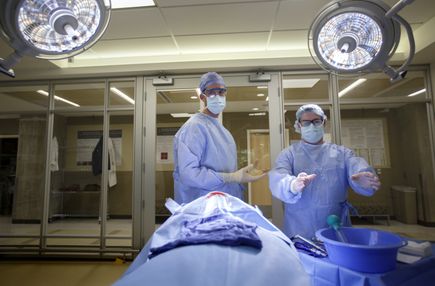 Brain surgery simulator