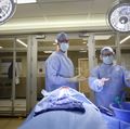 Brain surgery simulator