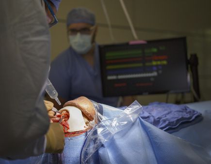 Brain surgery simulator