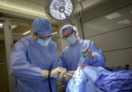 Brain surgery simulator