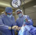 Brain surgery simulator