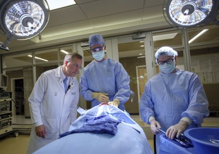 Brain surgery simulator