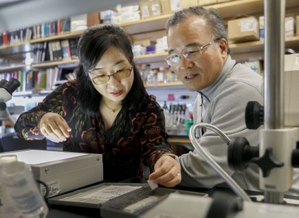 FOXG1 research