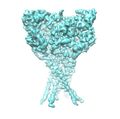 Ion channel