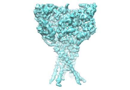 Ion channel