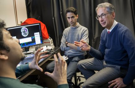 Studying white matter injury