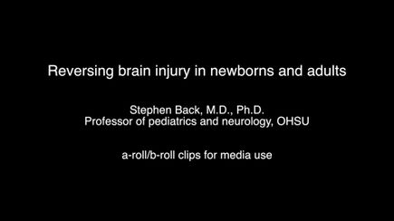 DOWNLOAD: Media clips for white matter injury research