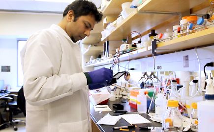 Taasin Srivastava, Ph.D.