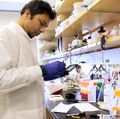 Taasin Srivastava, Ph.D.