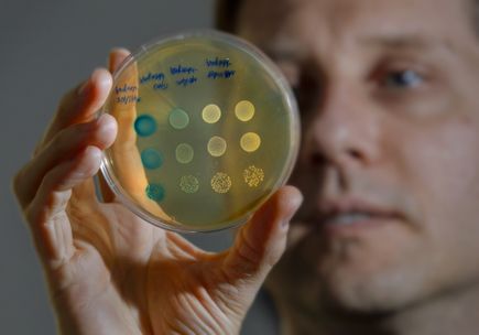 Streptococcus mutans research