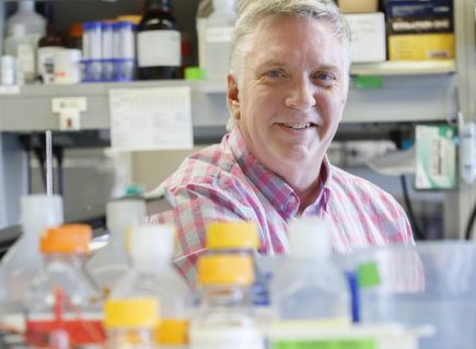 Peter Barr-Gillespie, Ph.D.