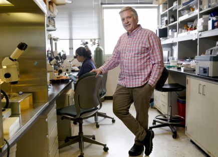 Peter Barr-Gillespie, Ph.D.