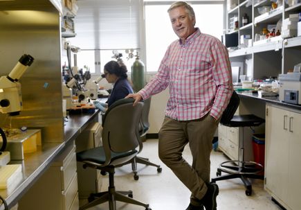Peter Barr-Gillespie, Ph.D.