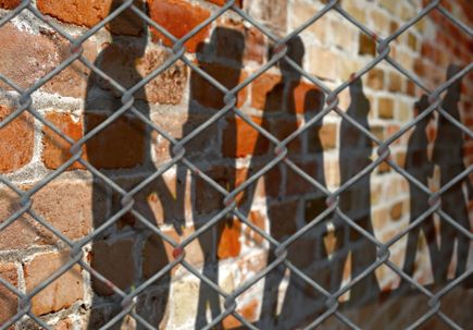  Separating children from parents causes lifelong harm
